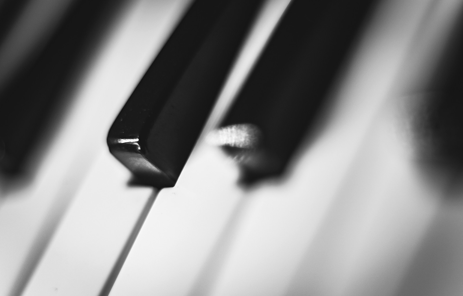 Music Keys Piano Theme Colors Hd Wallpaper High Resolution - High Resolution Piano Background - HD Wallpaper 