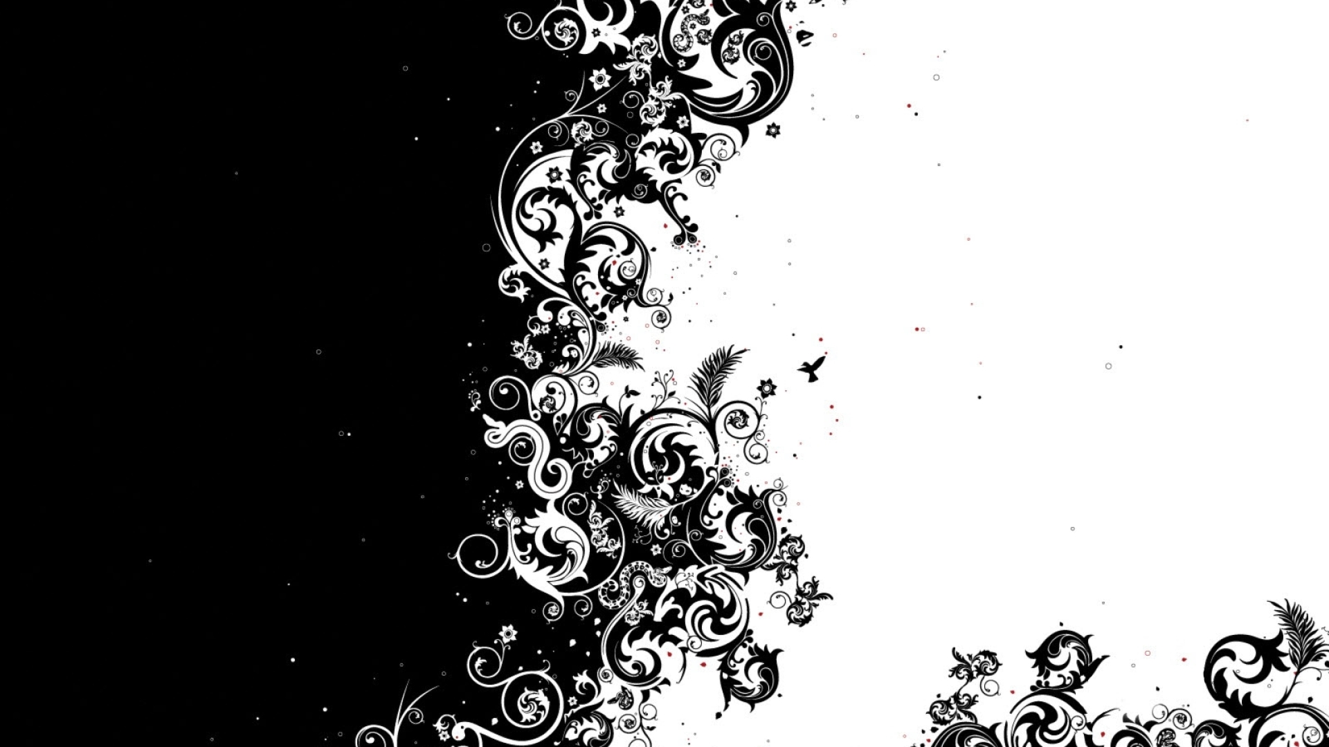 Black And White Split - HD Wallpaper 