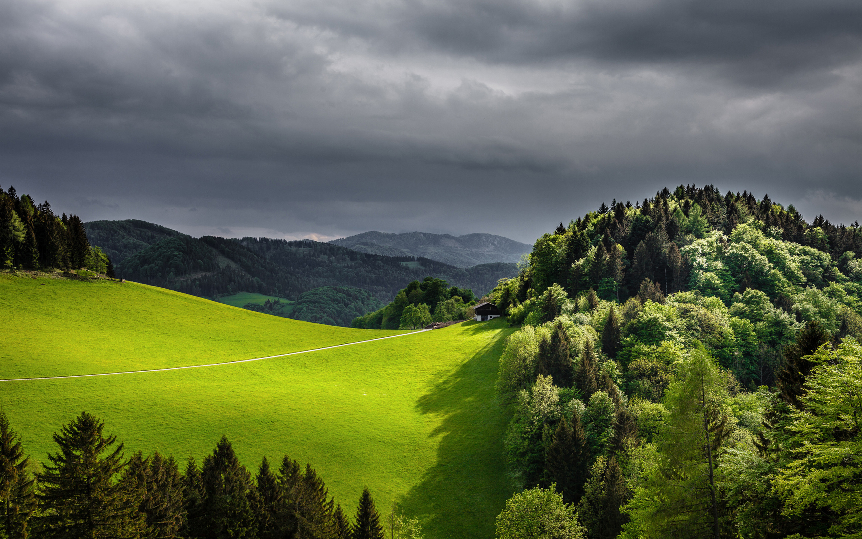 Black And Green Wallpaper Hd - HD Wallpaper 