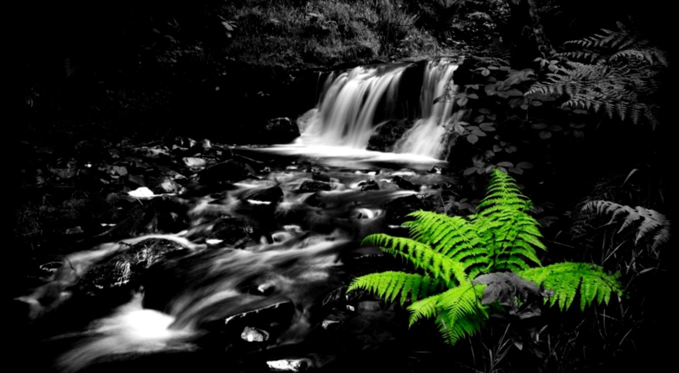 Other Beautiful White Water Green Black Full Hd 1080p - Beautiful Black And White Background Hd - HD Wallpaper 