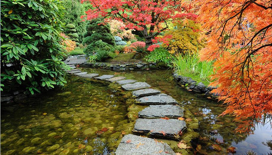 Romantic Garden Background - HD Wallpaper 