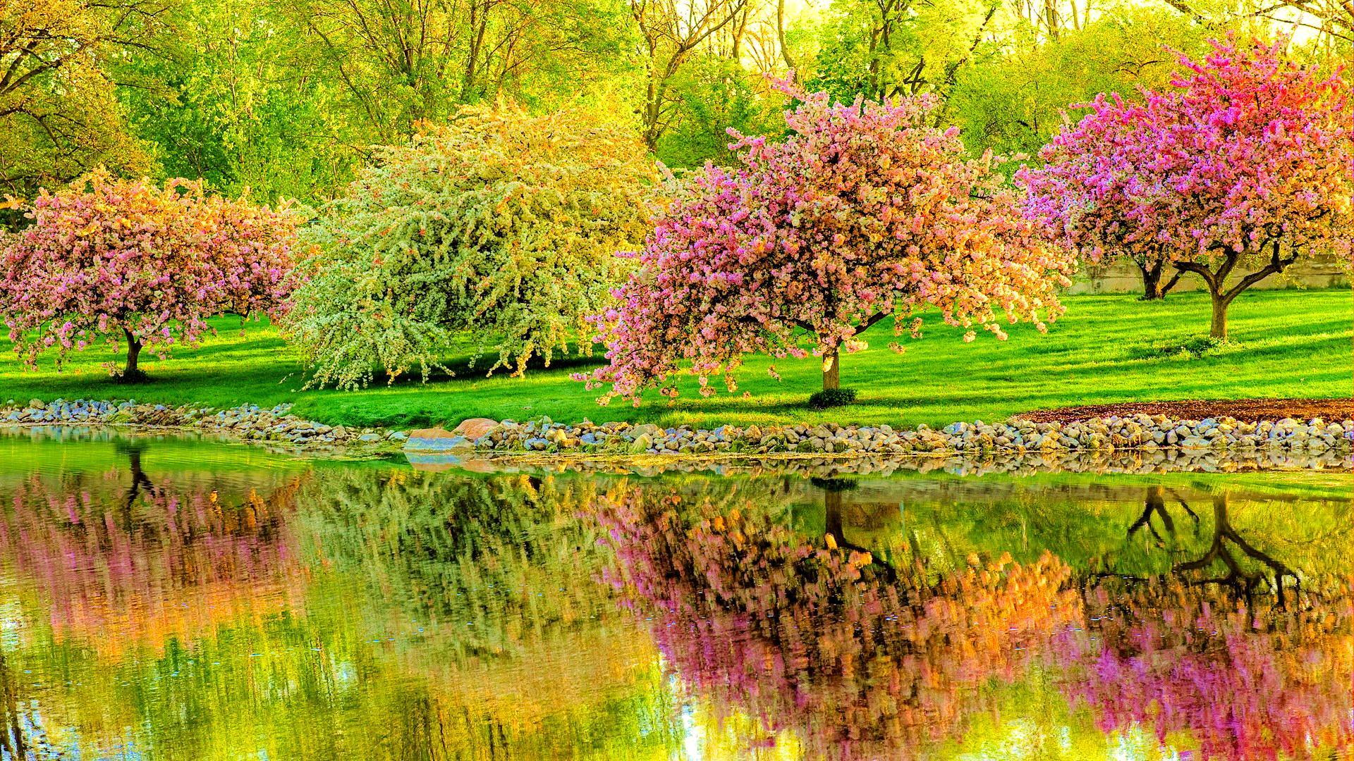 Mimpi Musim Semi - Beautiful Peaceful Places - HD Wallpaper 