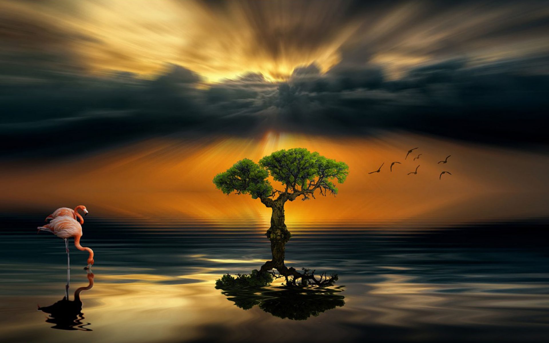 Dark Image Alone Hd - HD Wallpaper 