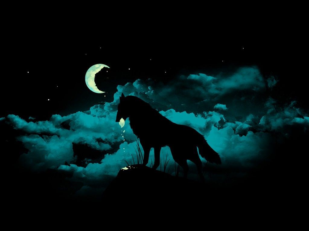 Black Wolf Wallpaper 4k - HD Wallpaper 