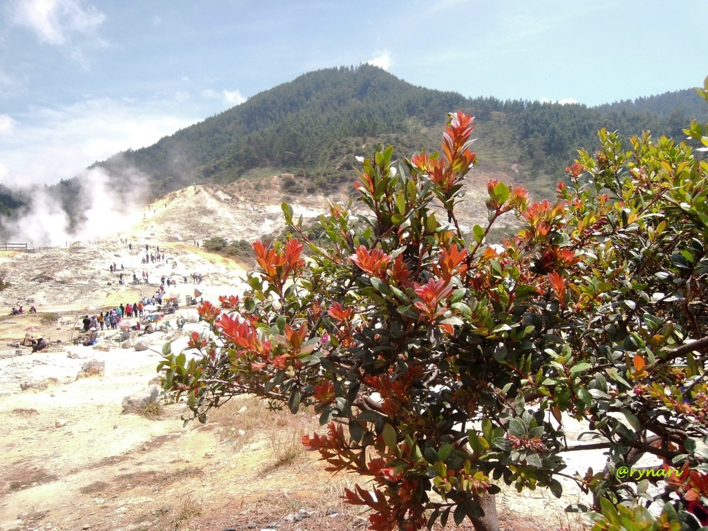 Mountain - HD Wallpaper 