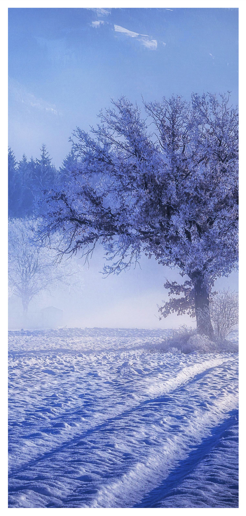 Wallpaper Salju Pemandangan Musim Dingin - 4k Winter - HD Wallpaper 