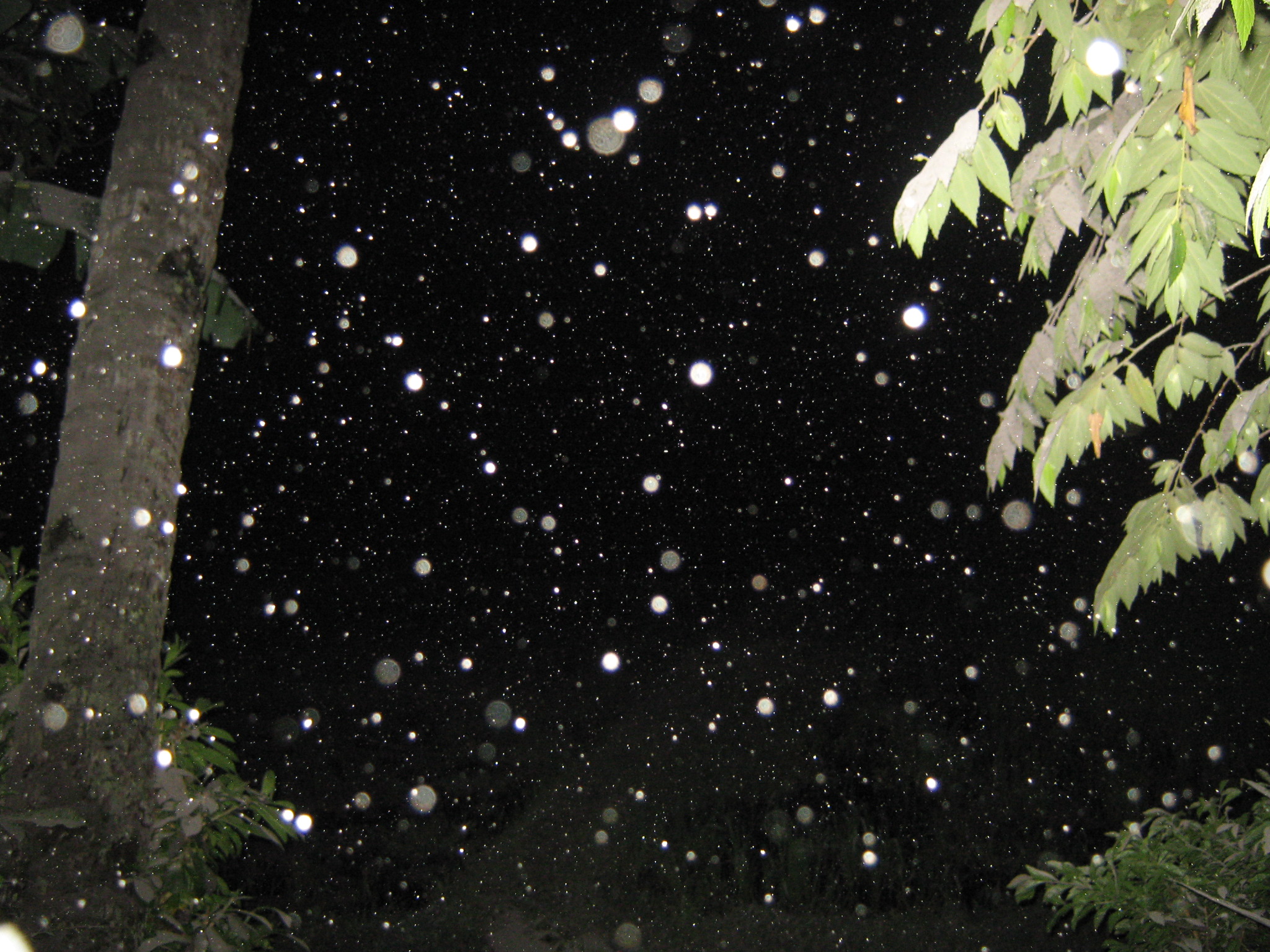 Night - HD Wallpaper 