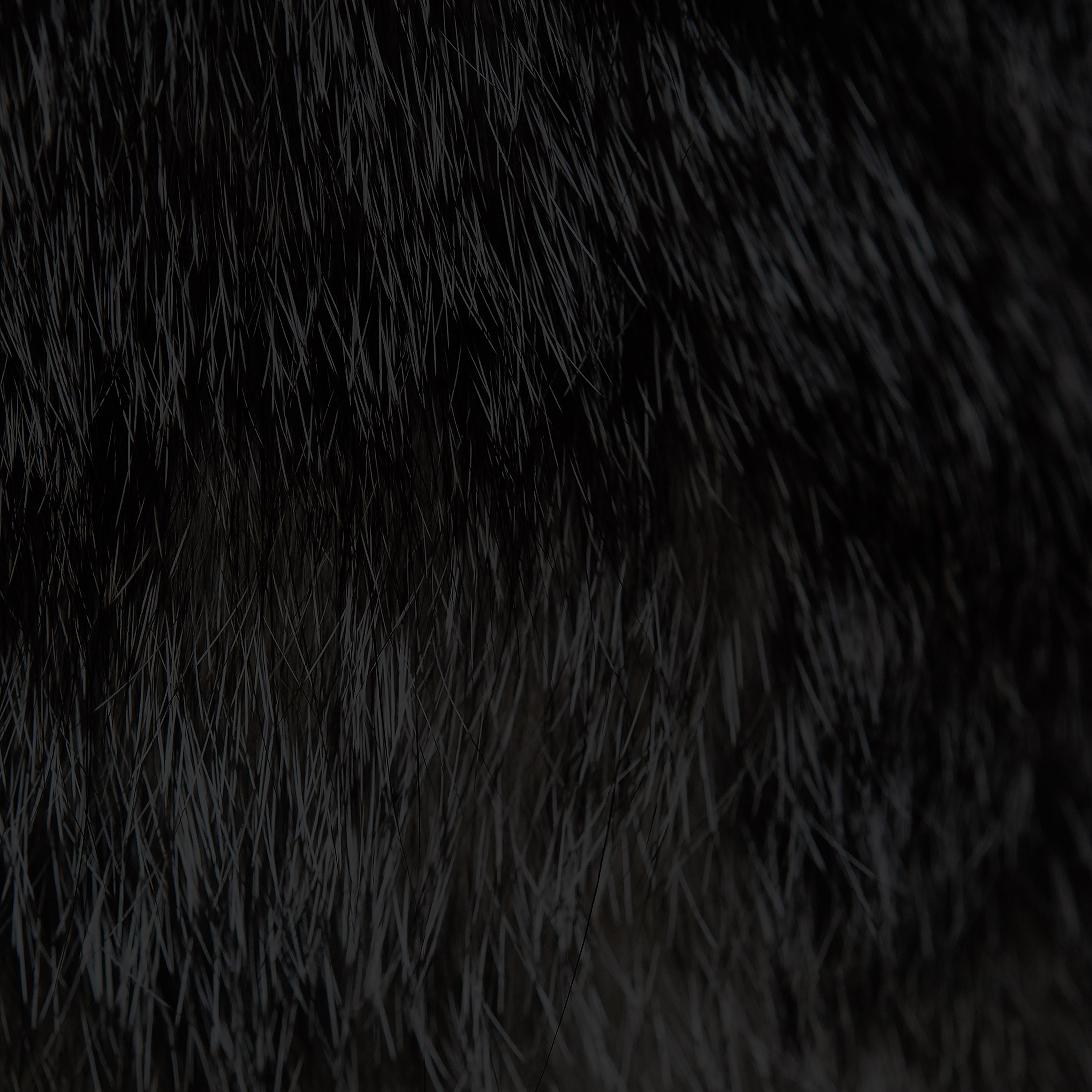 Black Fur Pattern - HD Wallpaper 