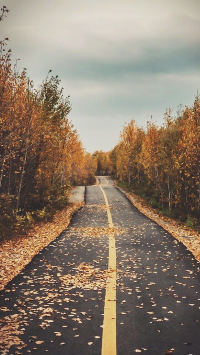 Fall Road Wallpaper Iphone - HD Wallpaper 