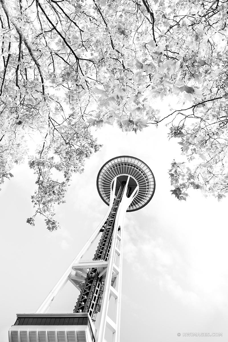Space Needle Seattle Black And White Vertical - Space Needle - HD Wallpaper 