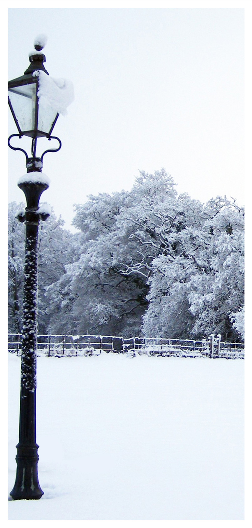 Wallpaper Ponsel Salju Musim Dingin - Winter - HD Wallpaper 