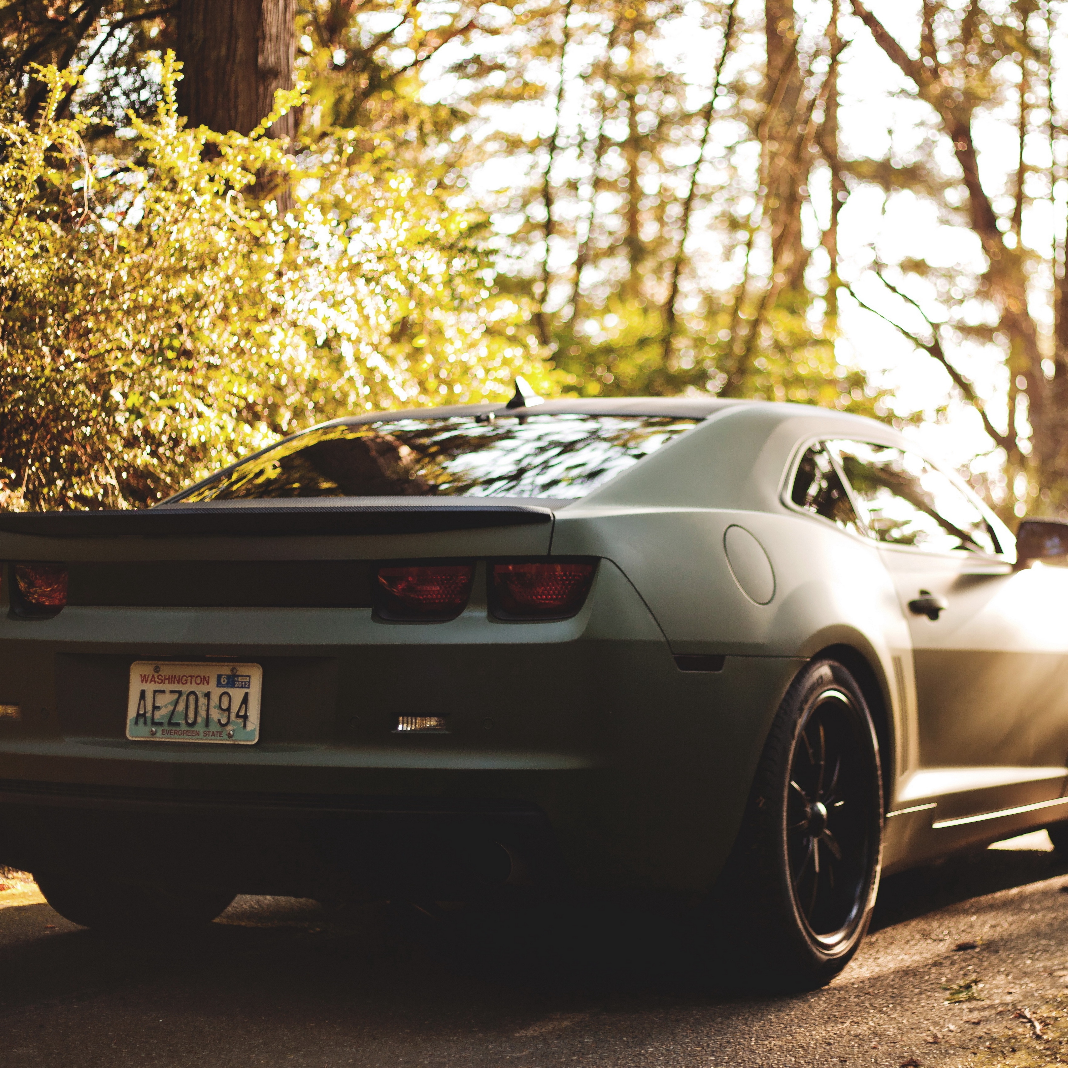 Wallpaper Bokeh, Chevrolet, Camaro, Matte, Black - Chevrolet Camaro Matte Black - HD Wallpaper 