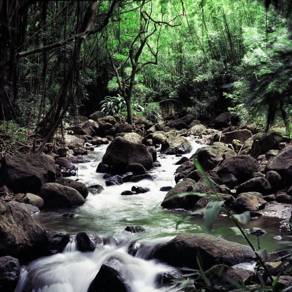 Mac Wallpapers Hd 1080p - HD Wallpaper 