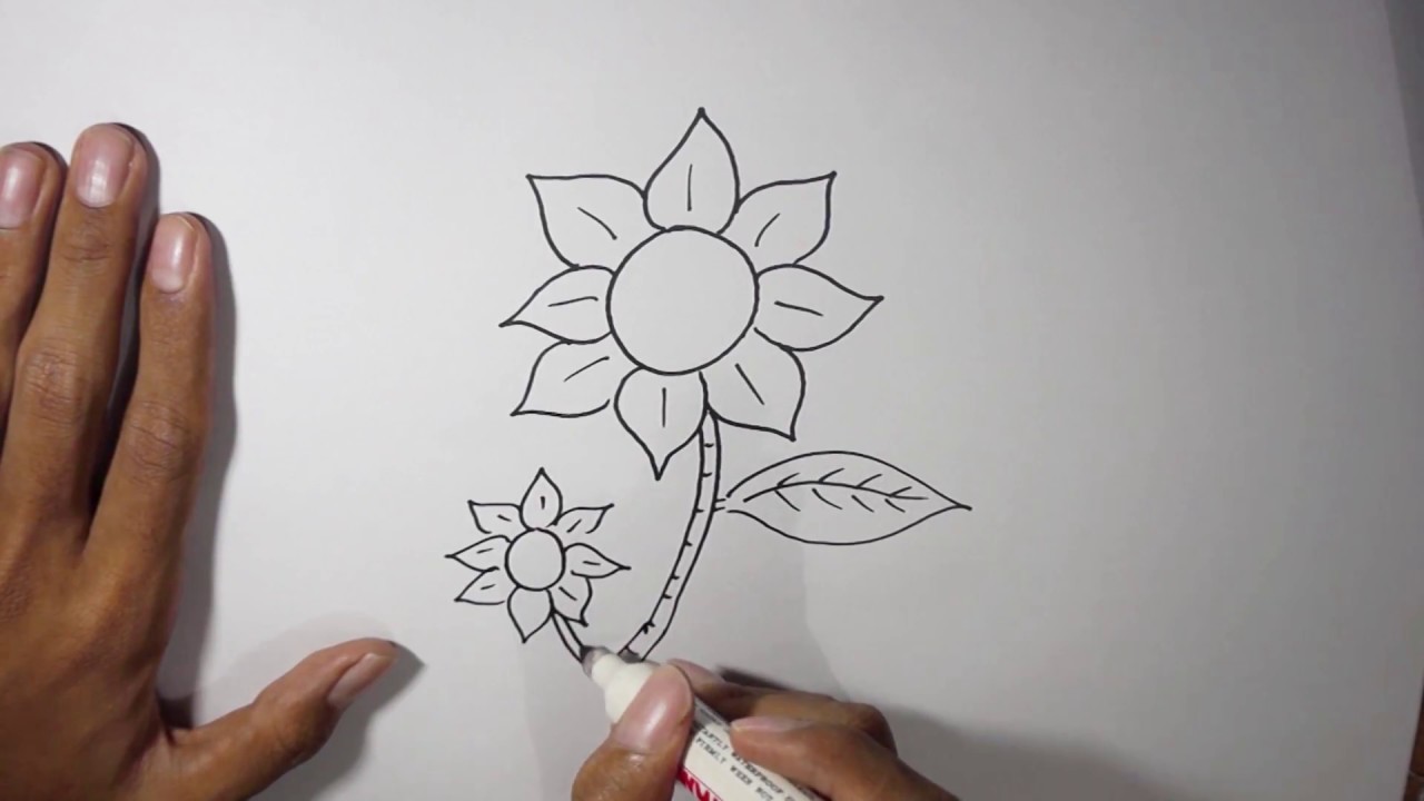 Bunga Matahari Dari Pensil - HD Wallpaper 