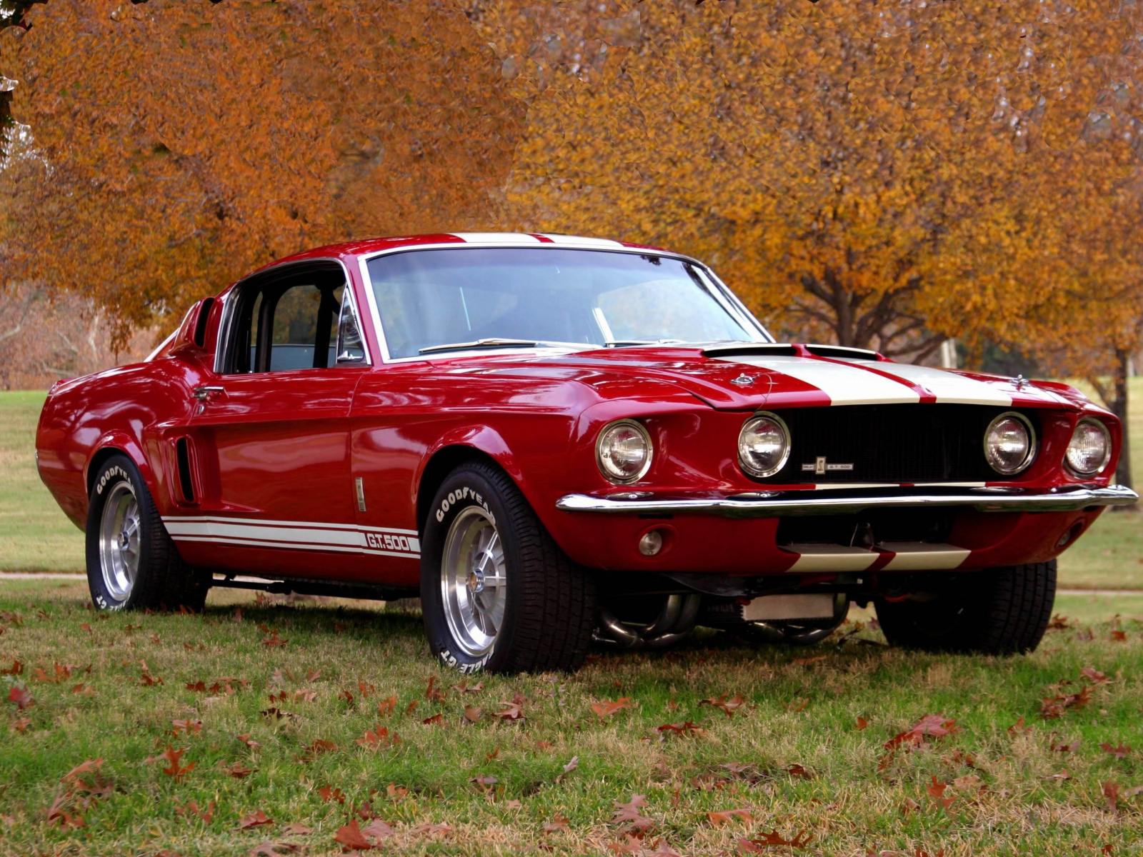 Classic, Red Shelby Gt500, Front, Wallpaper - Shelby Mustang - HD Wallpaper 
