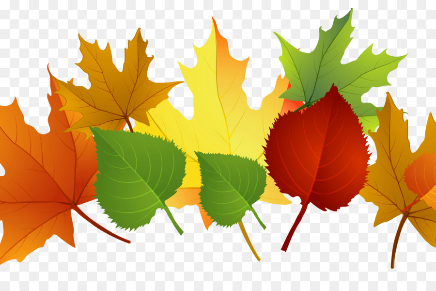 Desktop Wallpaper, Musim Gugur, Warna Daun Musim Gugur - Fall Leaves Clipart Transparent - HD Wallpaper 