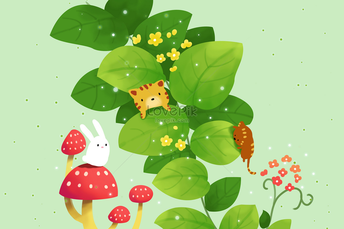 Wallpaper - HD Wallpaper 