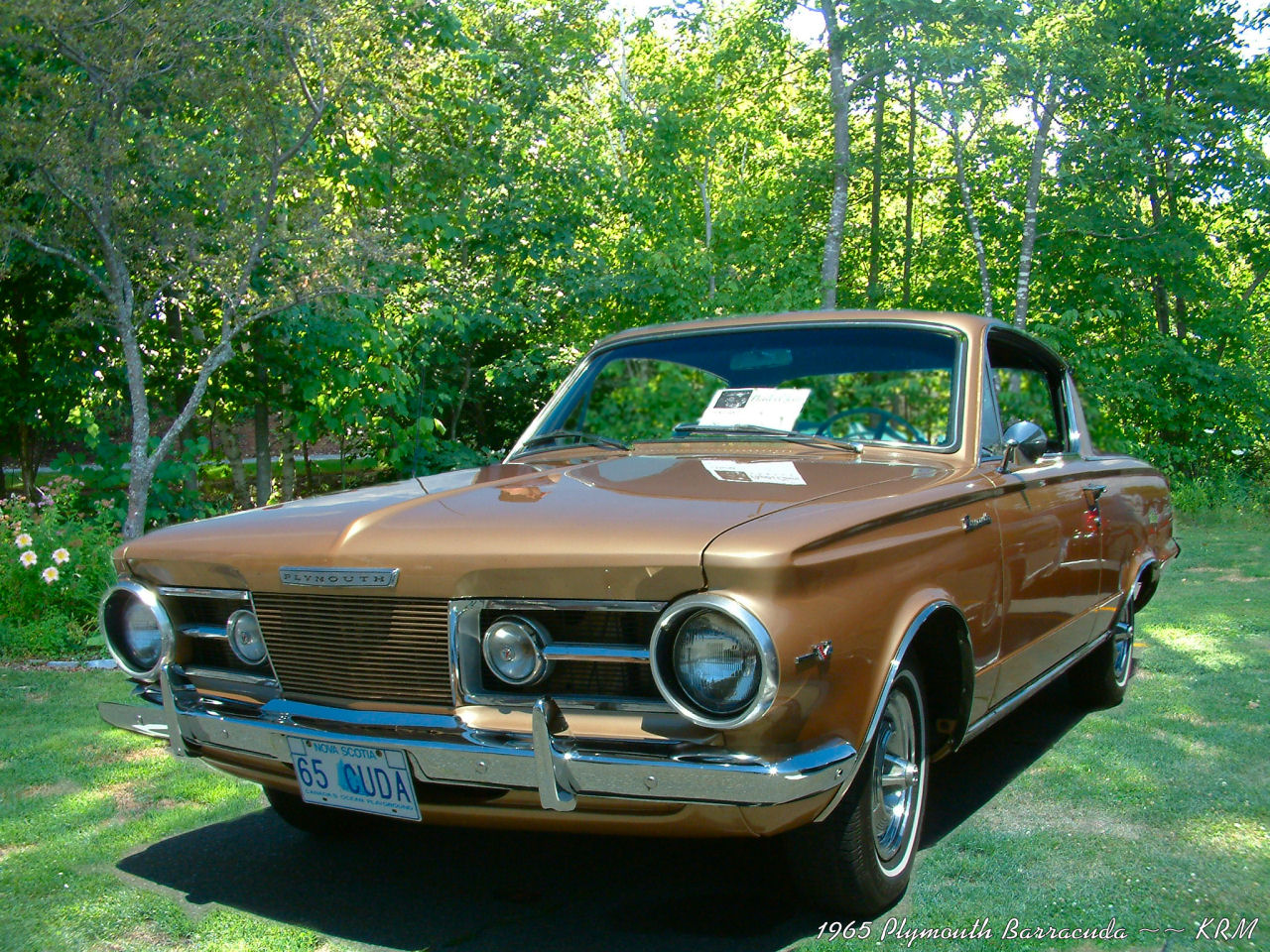 1965 Barracuda - HD Wallpaper 