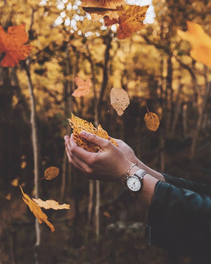 Meri Diary Quotes In Urdu - HD Wallpaper 