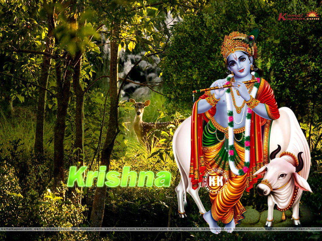 Shree Krishna - HD Wallpaper 