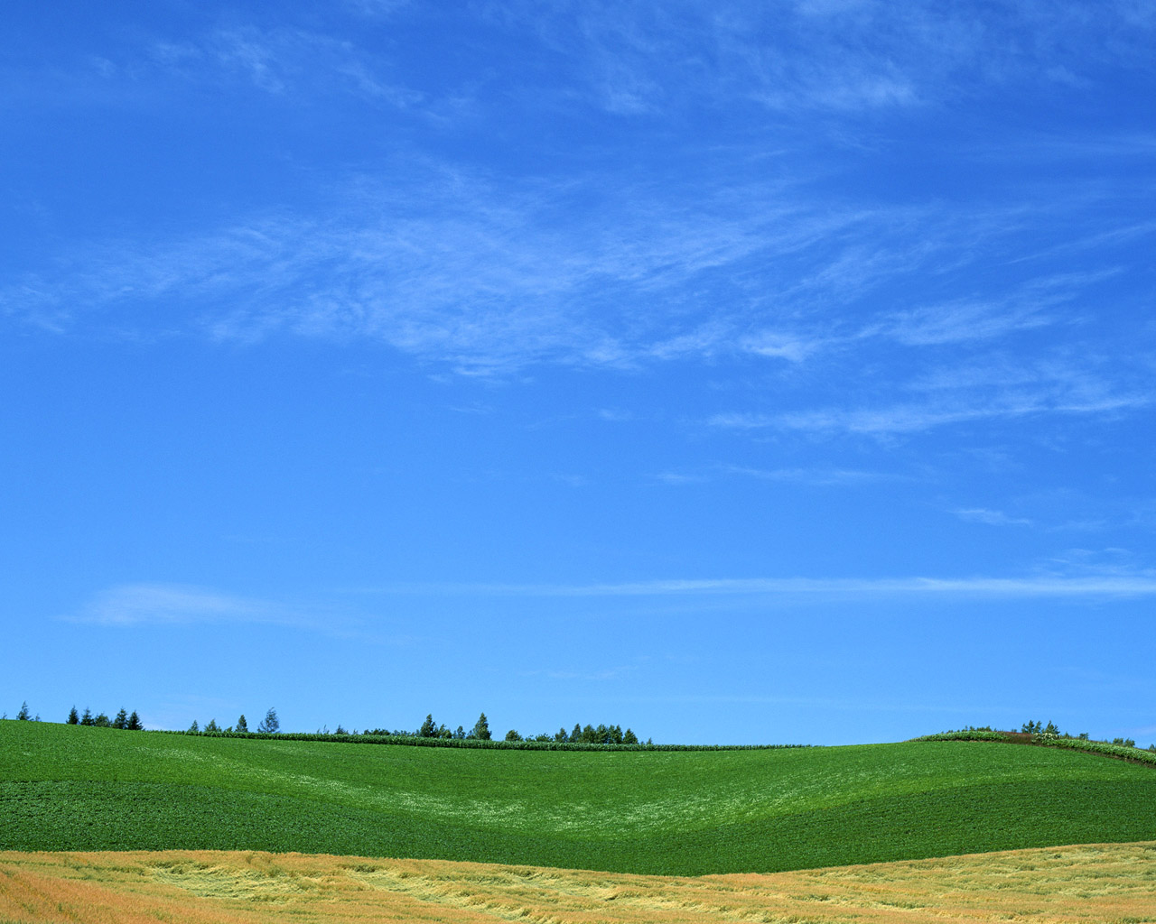 Blue And White Wallpaper - Blue Sky - HD Wallpaper 