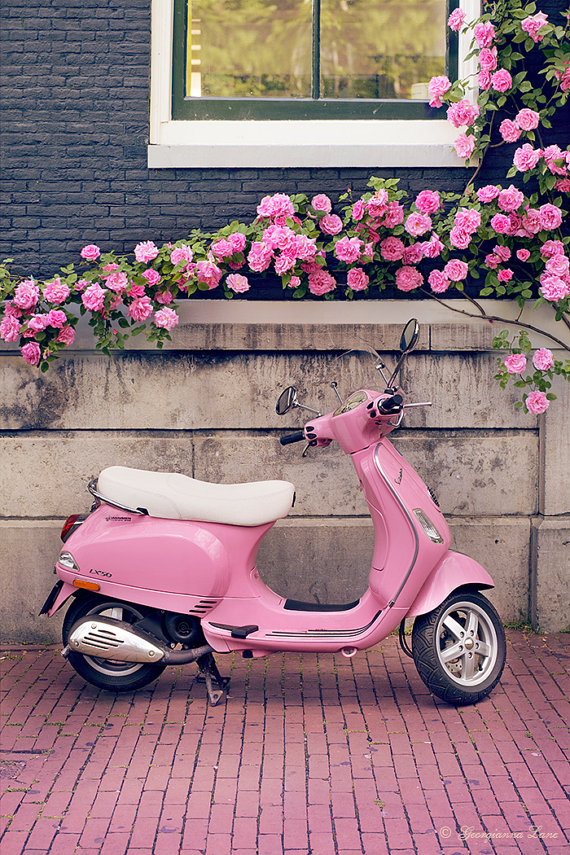 Pink Scooter - HD Wallpaper 
