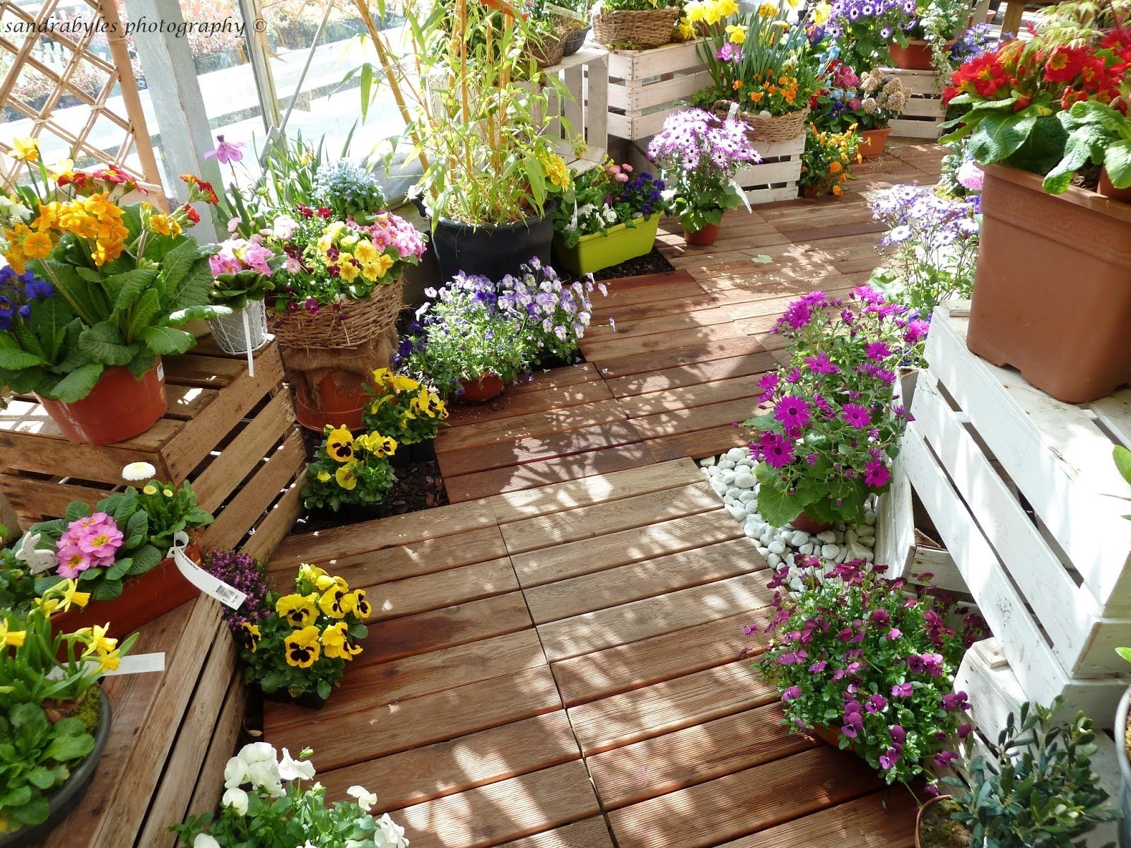 Balcony Flowers And Plants - HD Wallpaper 