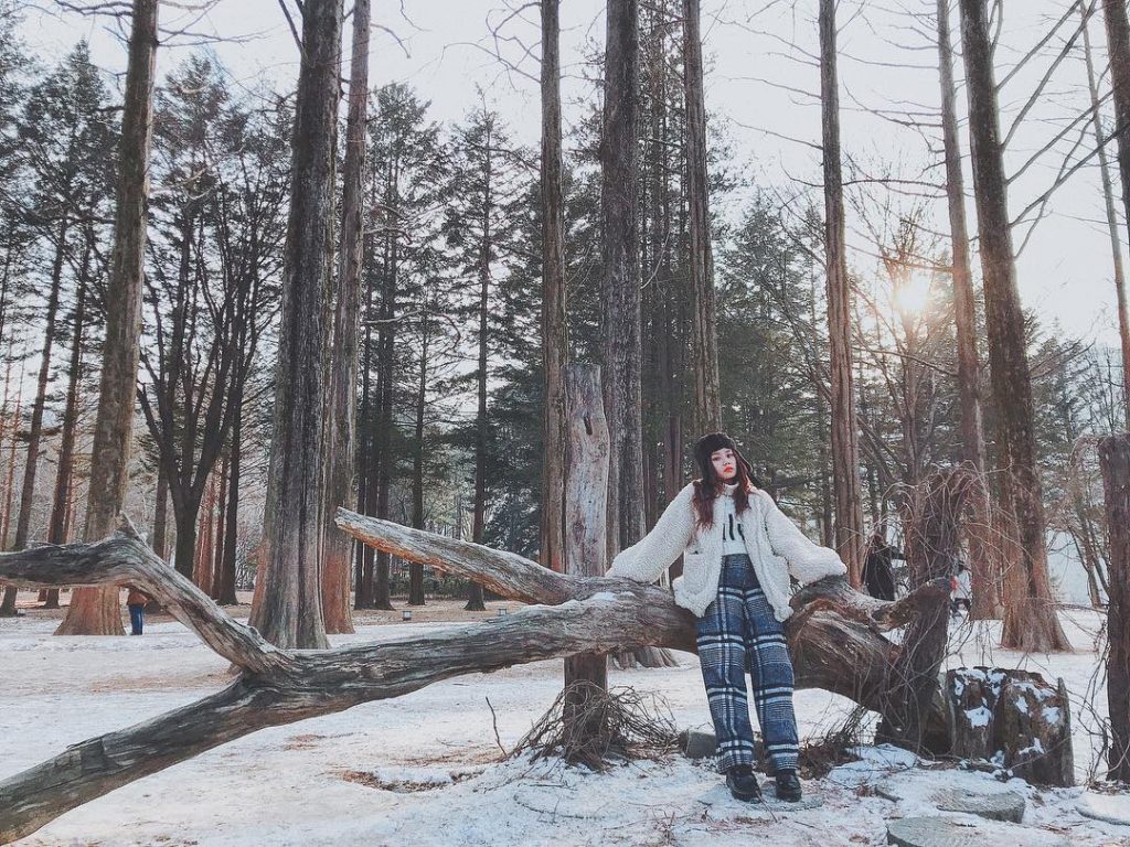 Grove - HD Wallpaper 