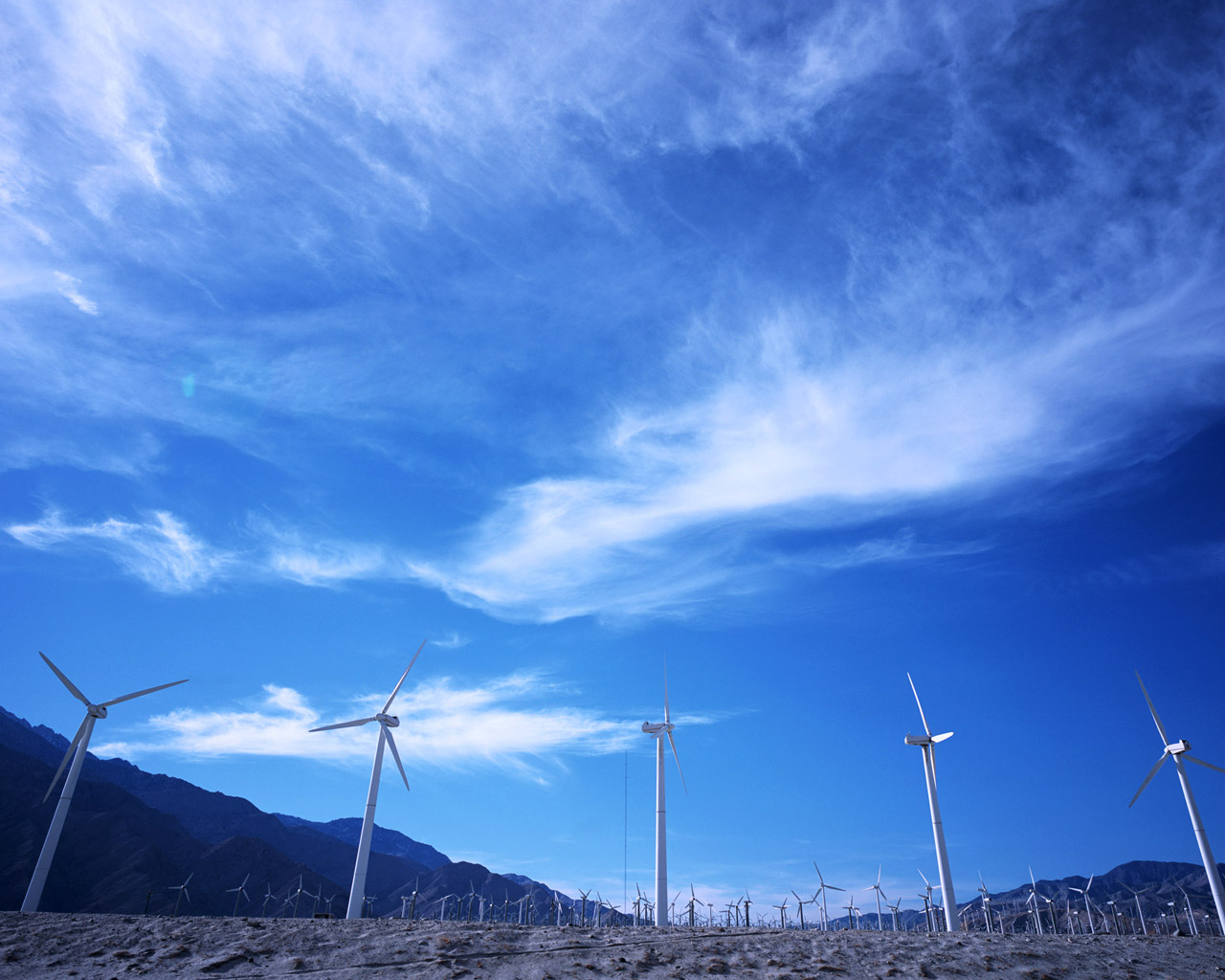 Blue And White Wallpaper - Wallpaper - HD Wallpaper 