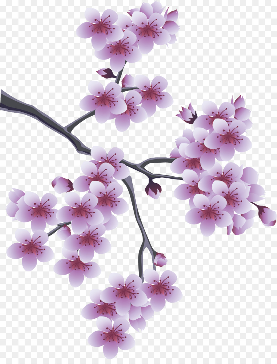 Musim Semi, Desktop Wallpaper, Presentasi Gambar Png - Flower Tree Branch Png - HD Wallpaper 