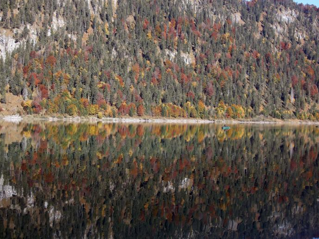 Autumn - HD Wallpaper 