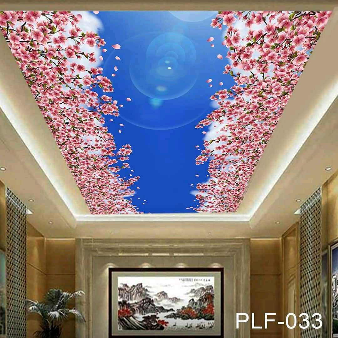Wallpaper 3d Untuk Plafon - Plafon 3d - HD Wallpaper 