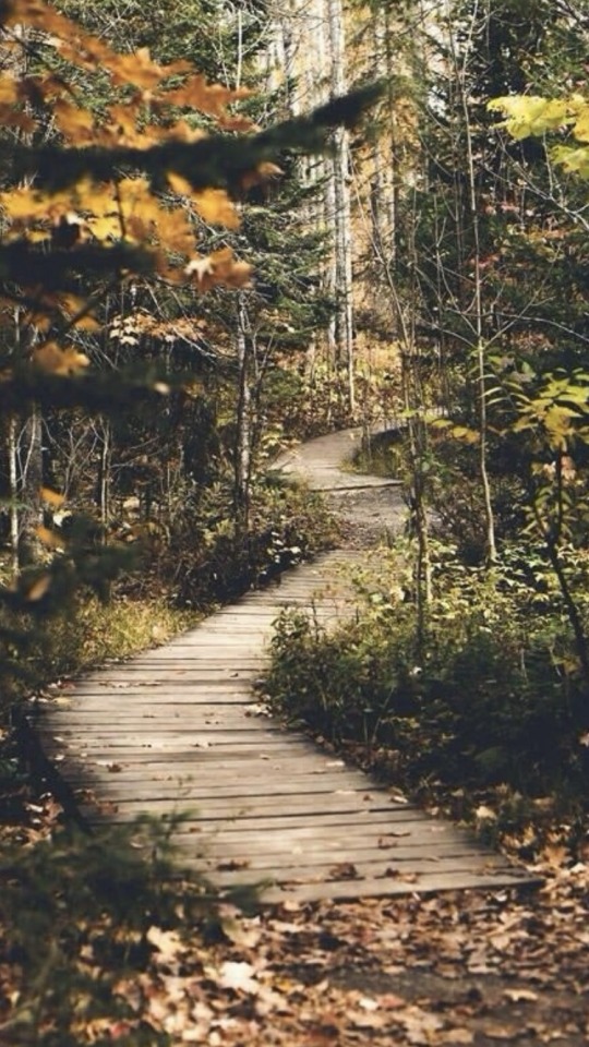 Image - Nature - HD Wallpaper 