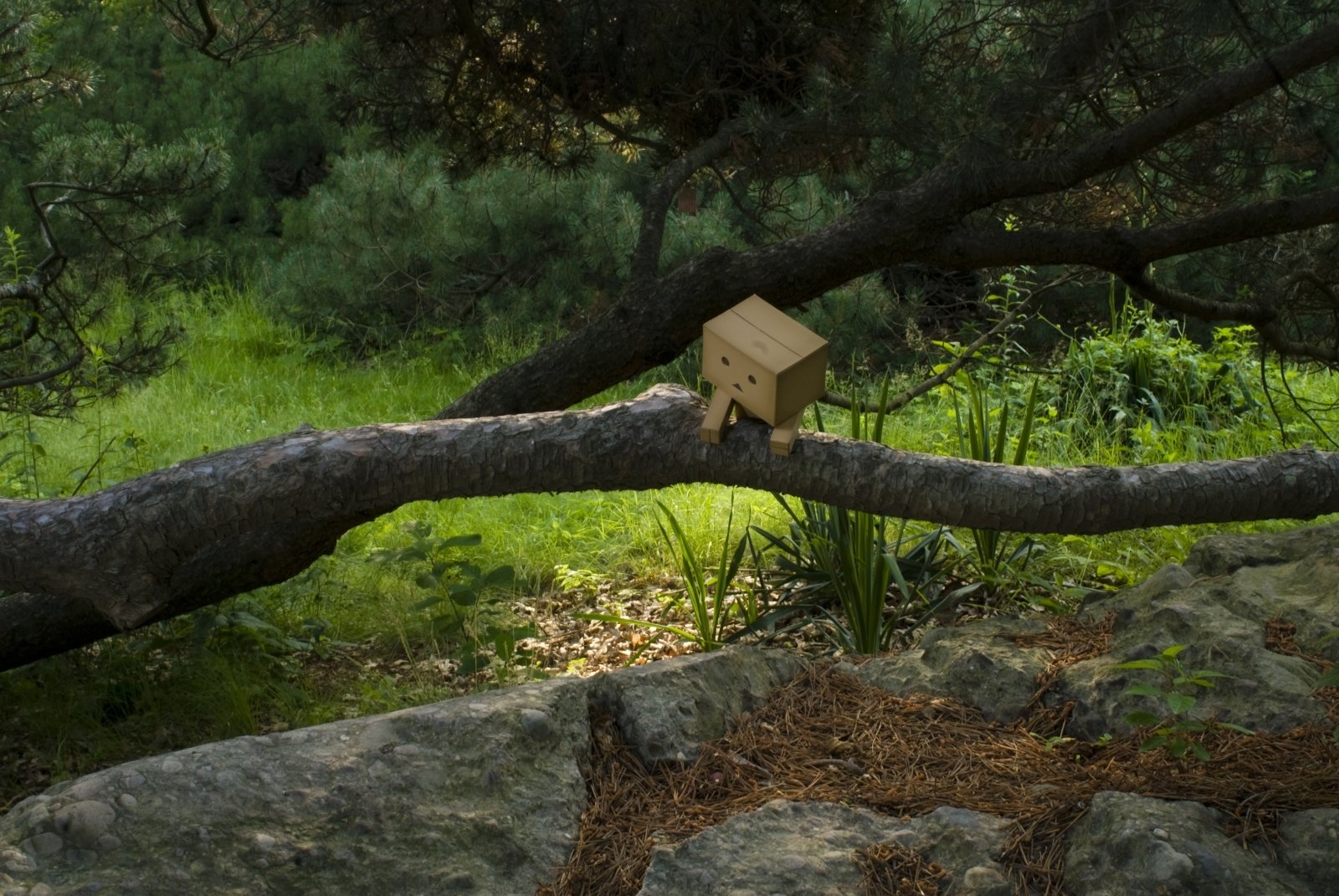 Danbo Background Hq - HD Wallpaper 