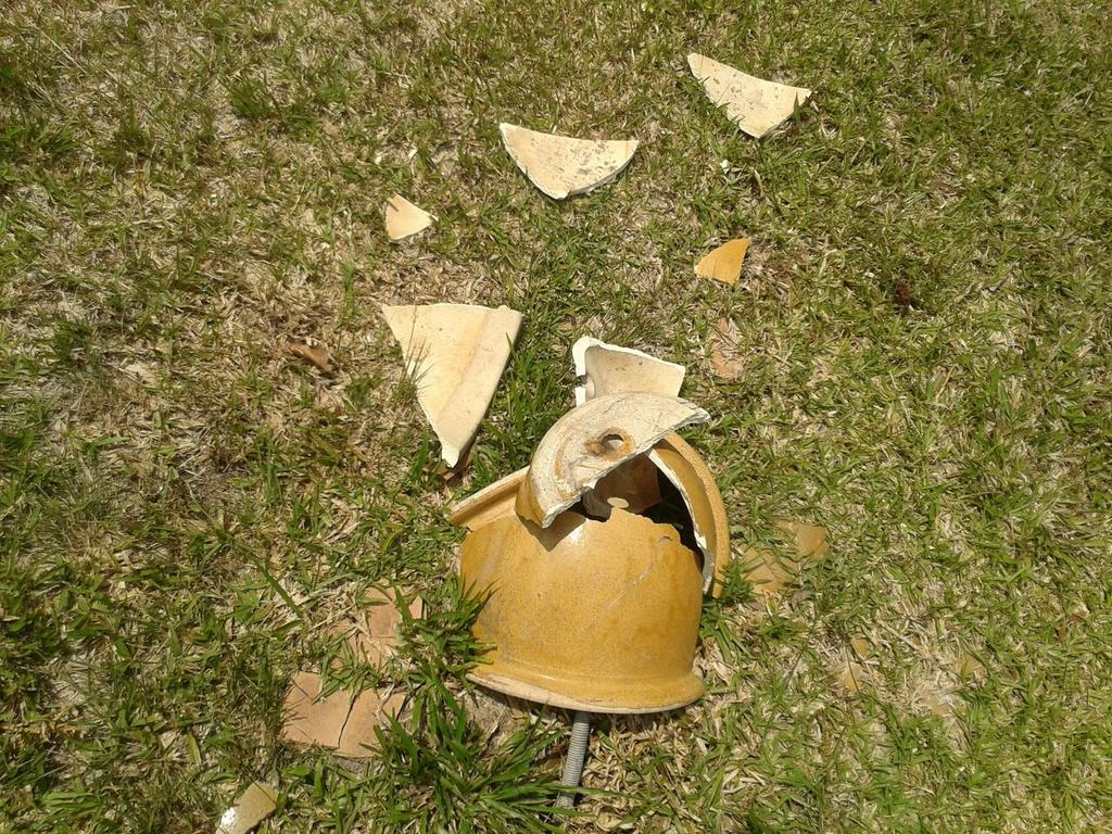 Grass - HD Wallpaper 