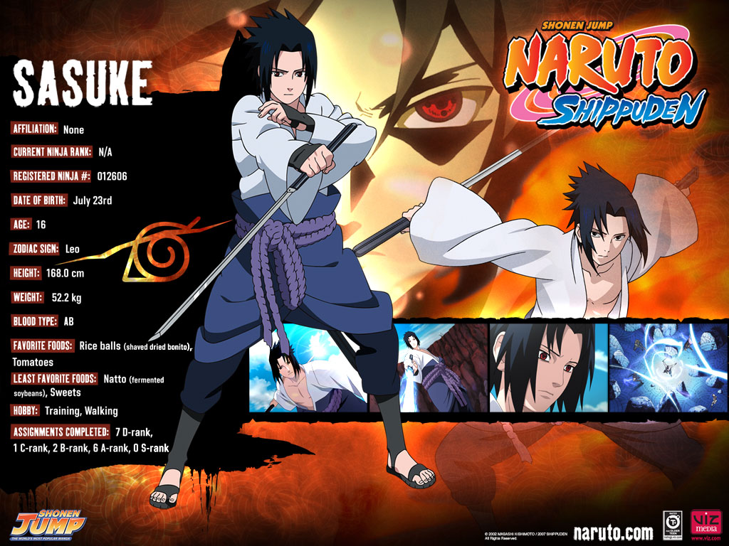 Profile Naruto Shippuden Characters - HD Wallpaper 