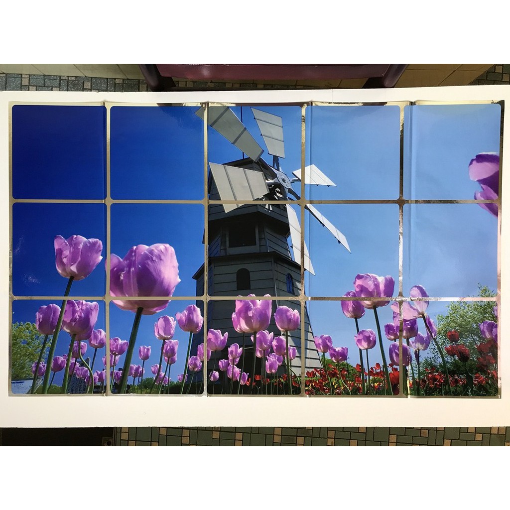 Bienvenidos A Holanda Video - HD Wallpaper 