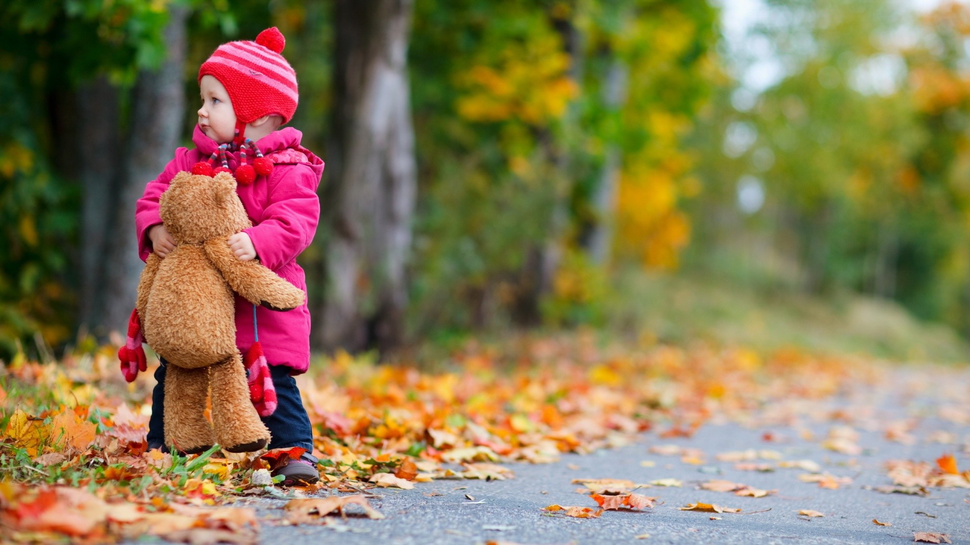 Autumn Trees Wallpaper Free - Full Screen Hd Wallpapers For Laptop - HD Wallpaper 