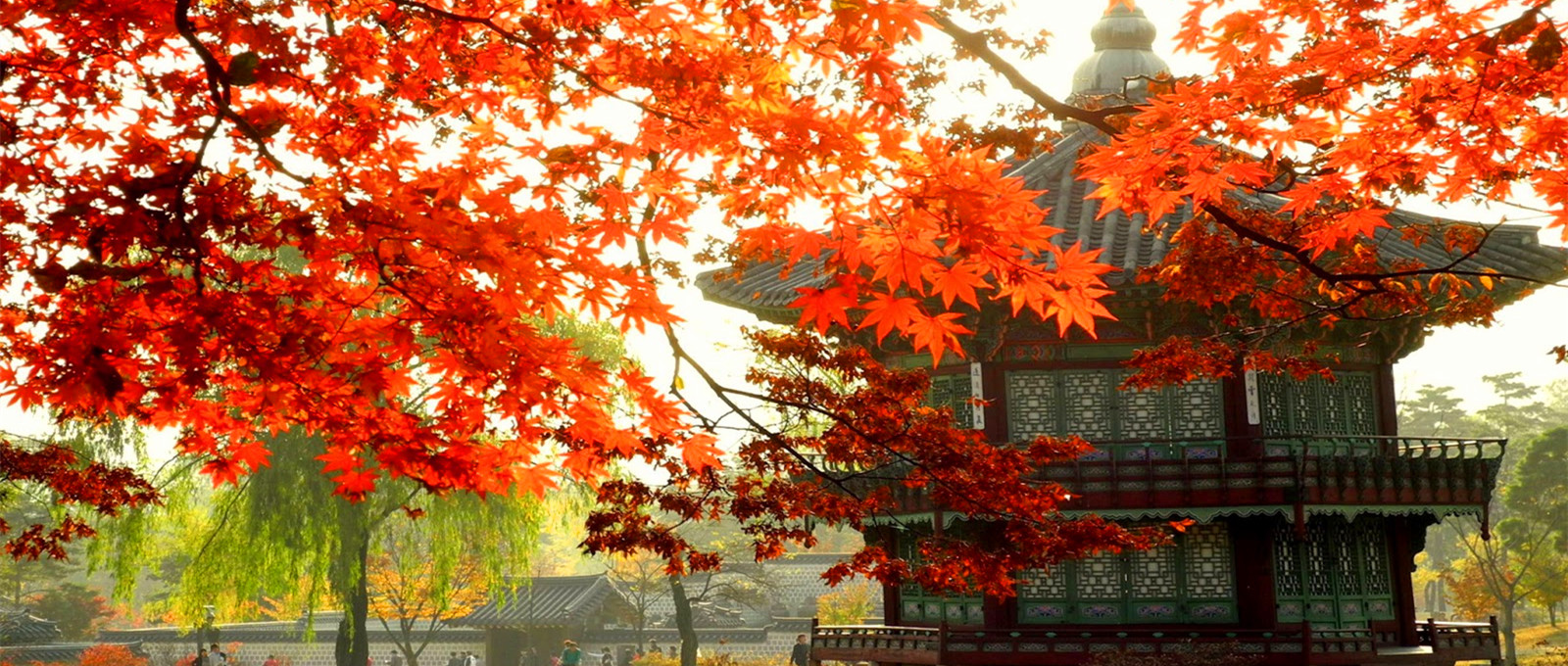 South Korea Backgrounds - HD Wallpaper 