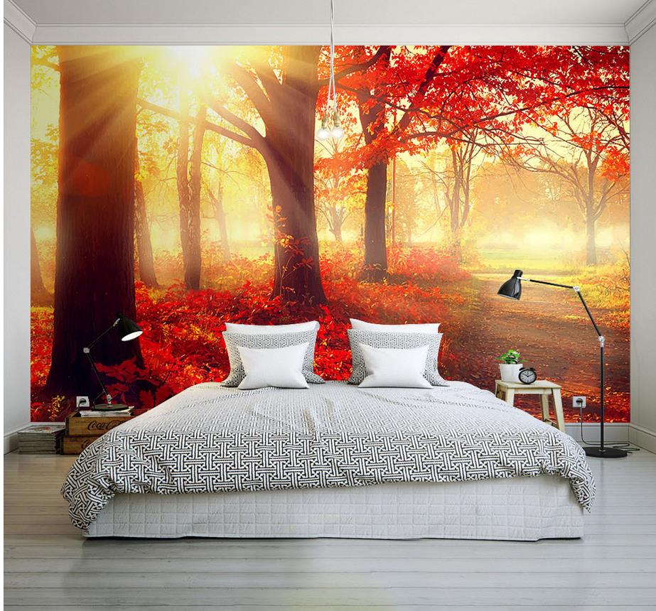 Forest Wall Murals - HD Wallpaper 