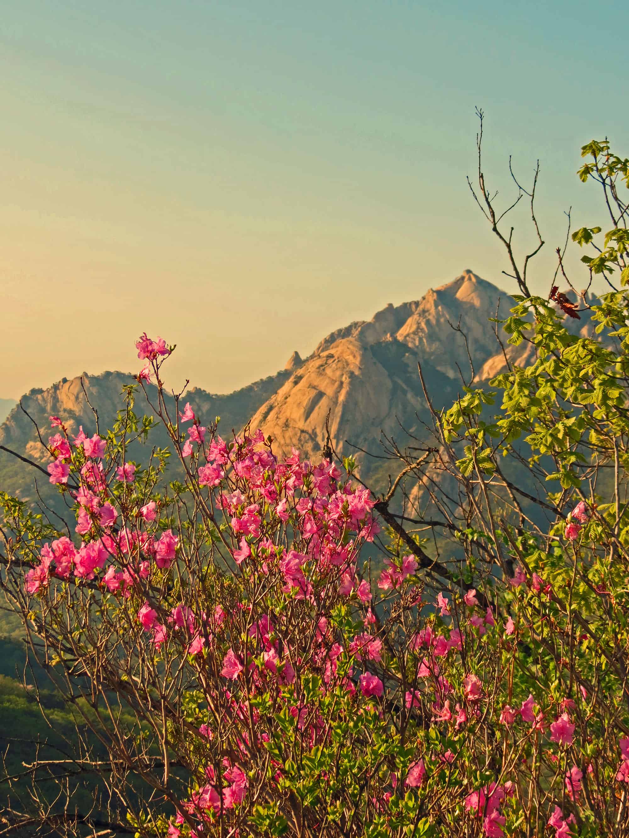 Bukhansan Spring - HD Wallpaper 