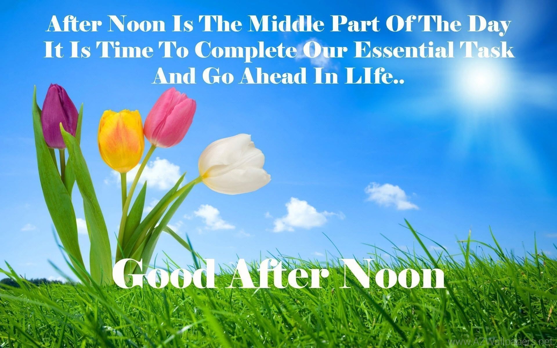 Good Afternoon Wallpapers Wallmanage Desktop Backgrounds - Good Afternoon Quotes - HD Wallpaper 