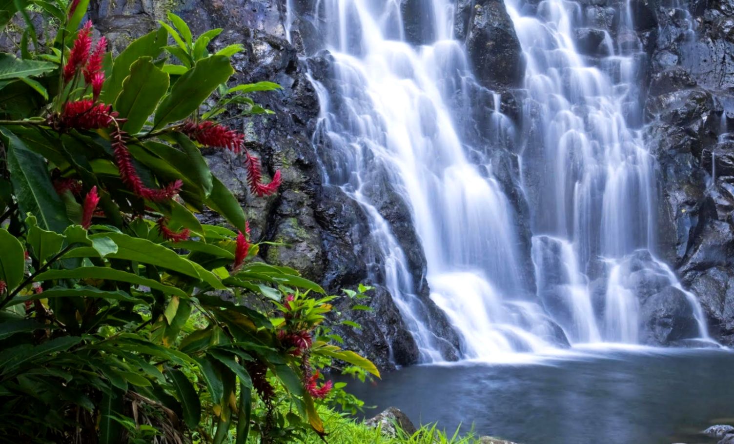 Free Download Animated Desktop Wallpapers Nature Desktop - Desktop Wallpaper Hd Nature Gif - 1504x910 Wallpaper Free Download Animated Desktop Wallpapers Nature Desktop - Desktop Wallpaper Hd Nature Gif - 1504x910 Wallpaper