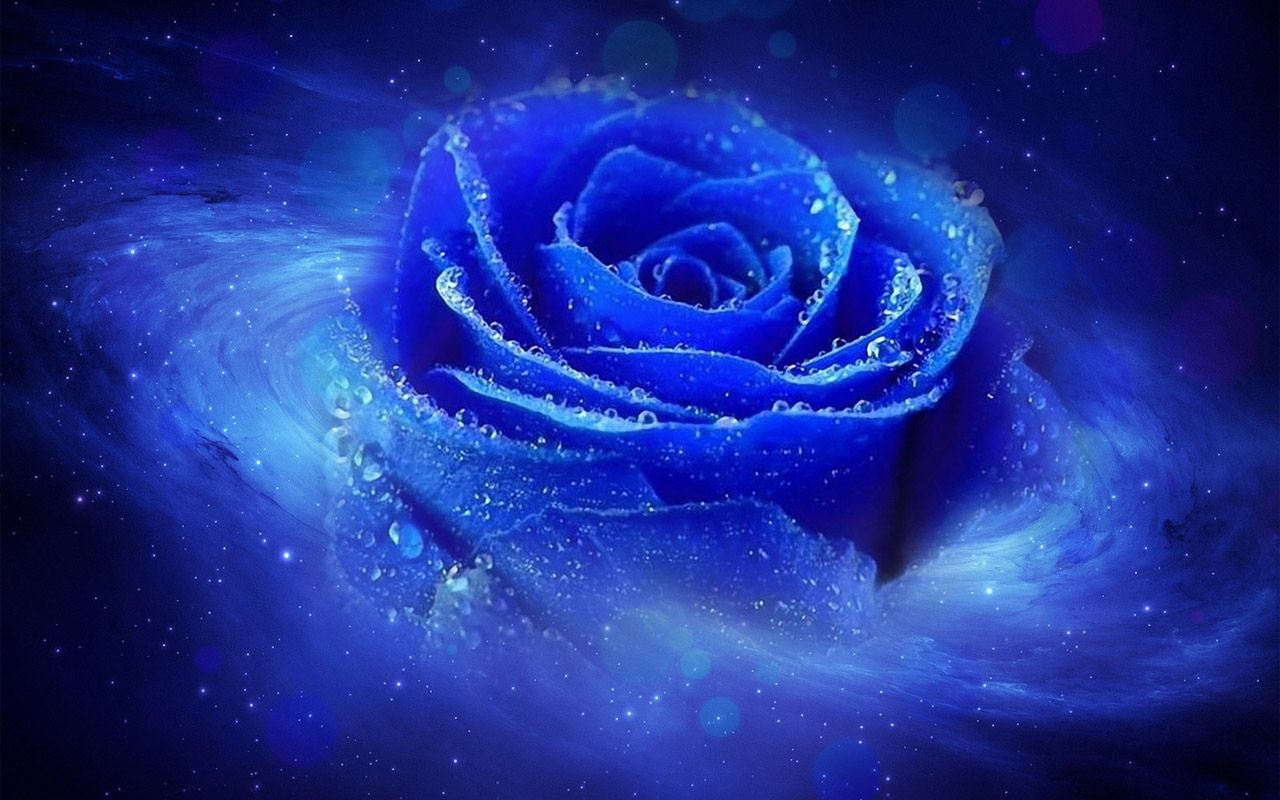 Really Cool Wallpapers Li Wpdopest - Cool Blue Rose Backgrounds - HD Wallpaper 