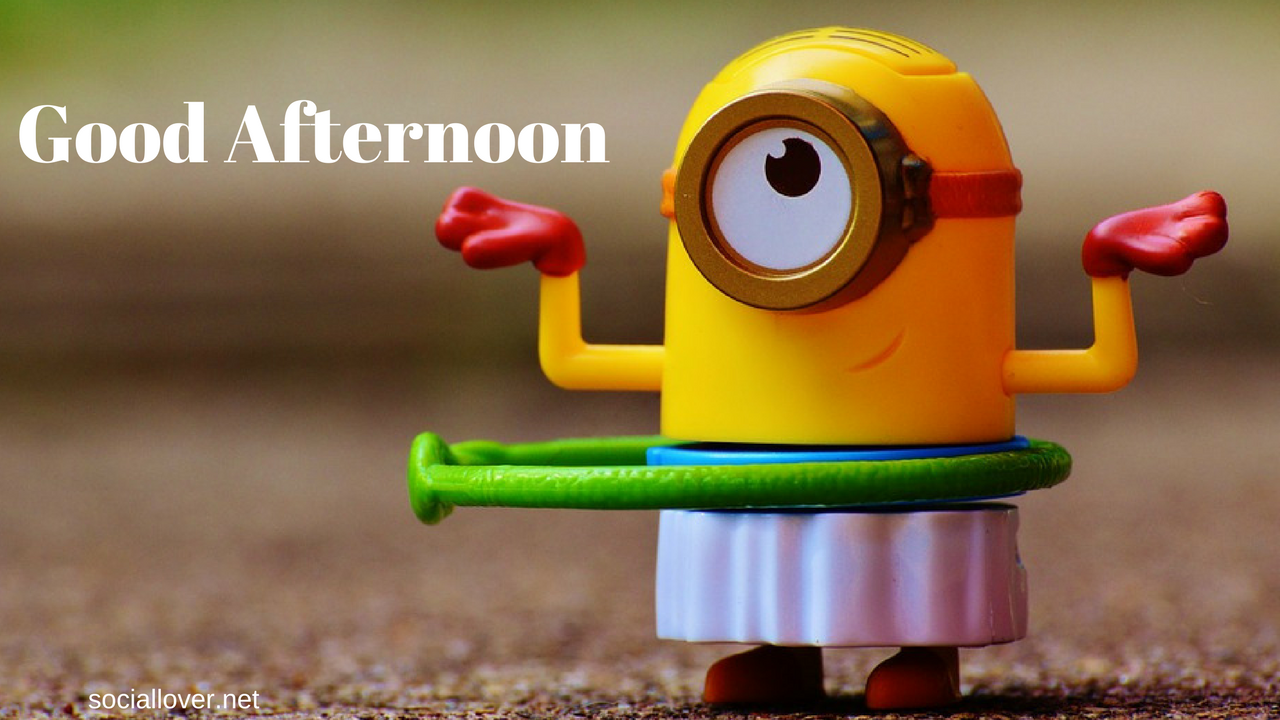 Funny Afternoon Images For Whatsapp - Unique For Whats App Dp - HD Wallpaper 