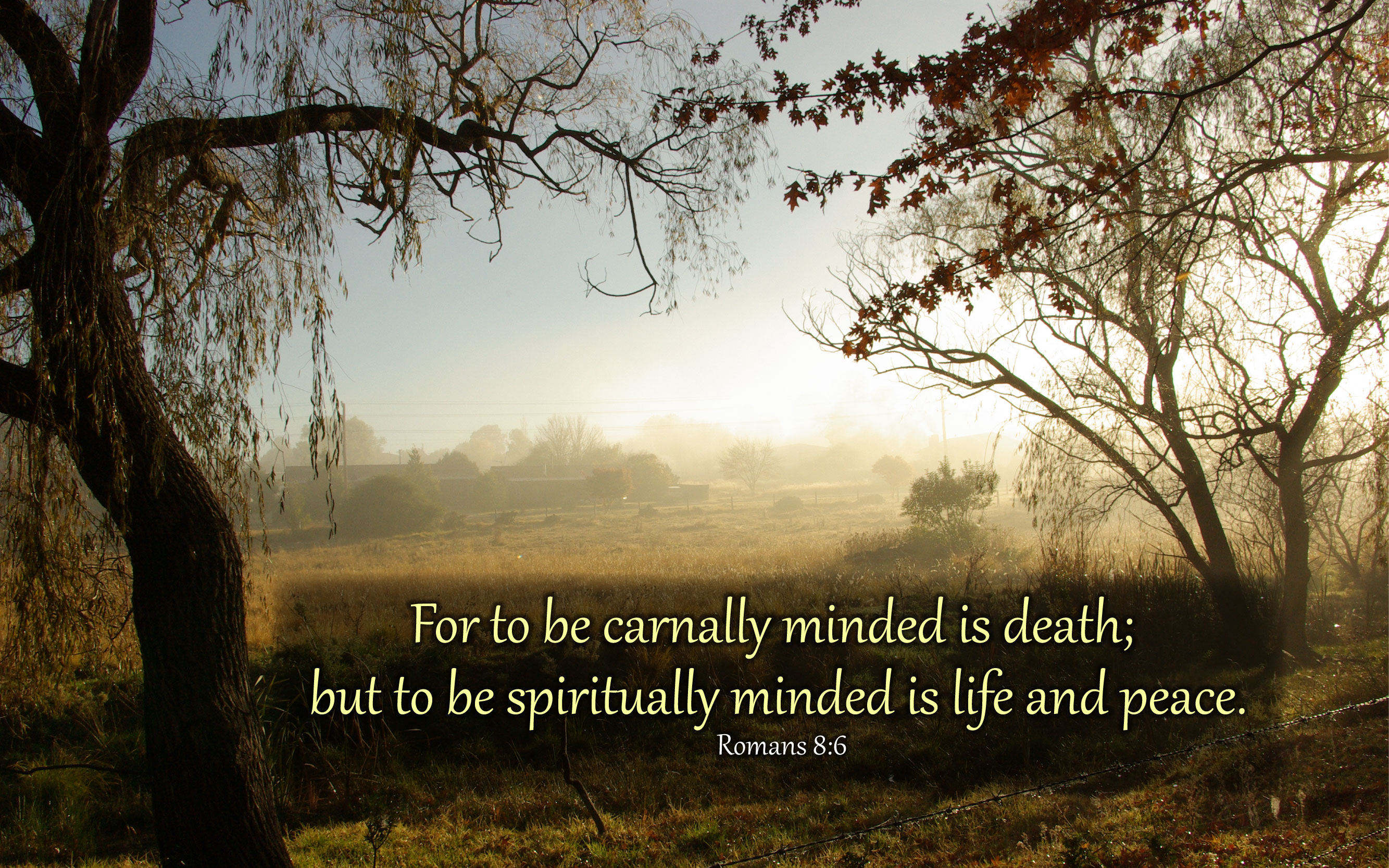 Carnally Minded Is Death Kjv - HD Wallpaper 