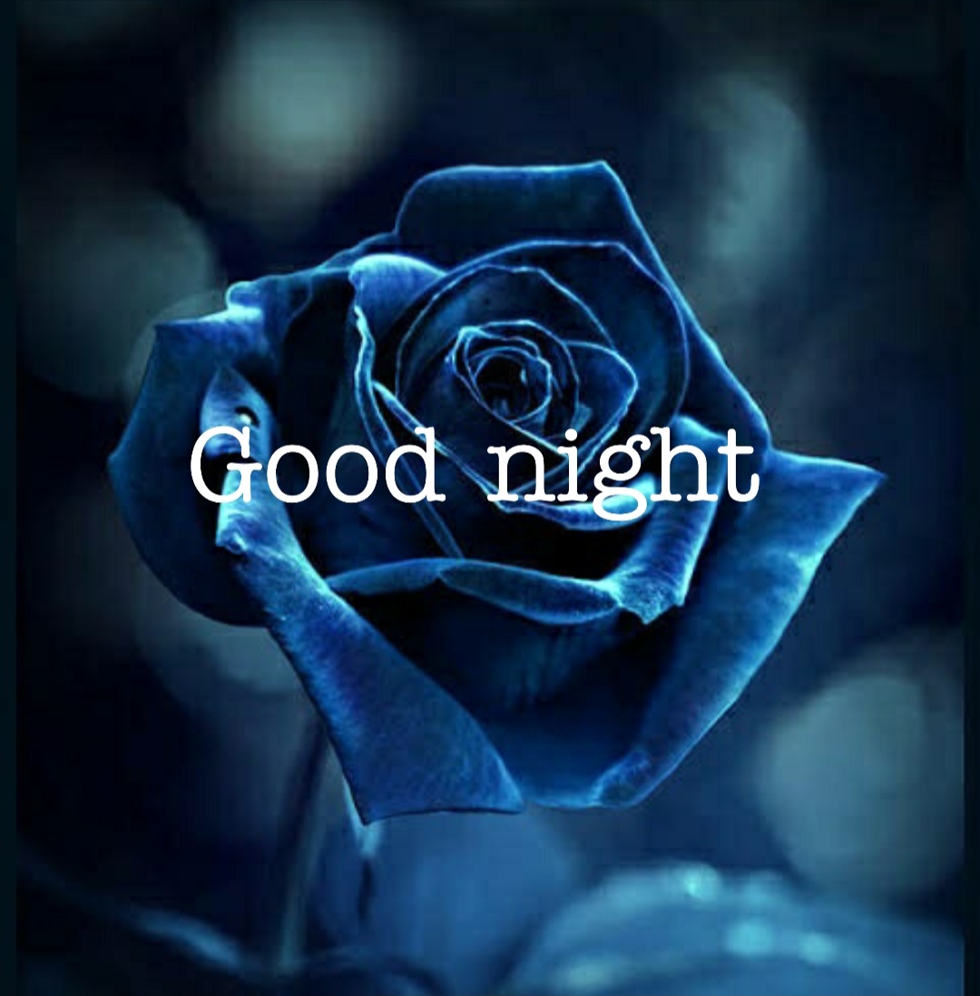 Good Night Pictures With Love - Fantasy Blue Rose - HD Wallpaper 