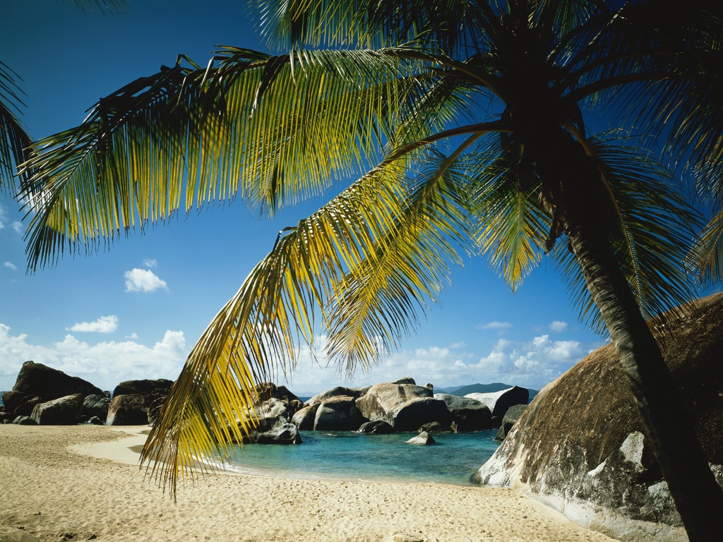 Pode Alguém Me Afastar Da Família Querida - HD Wallpaper 