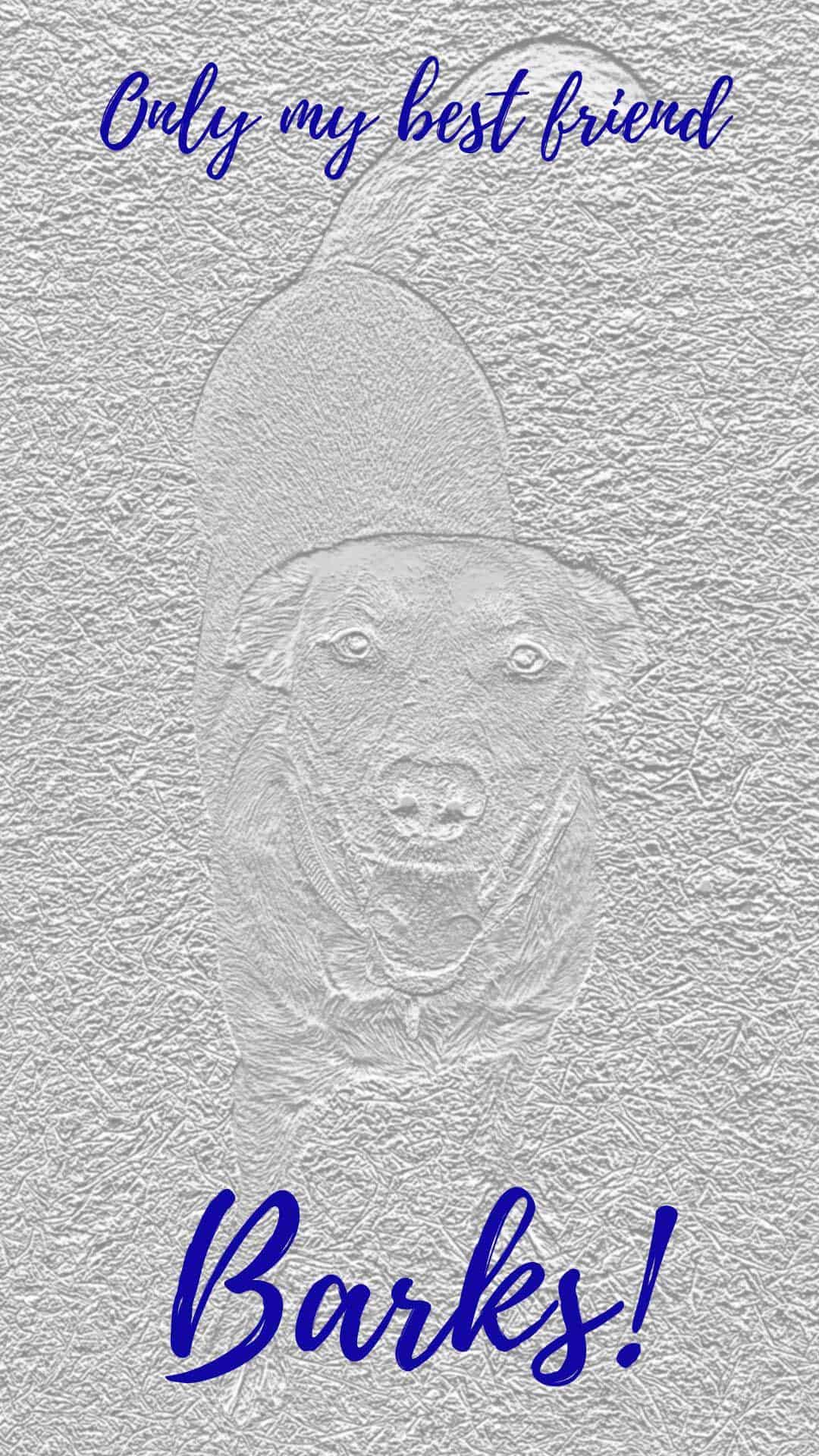 Only My Best Friend Barks - Poster - HD Wallpaper 