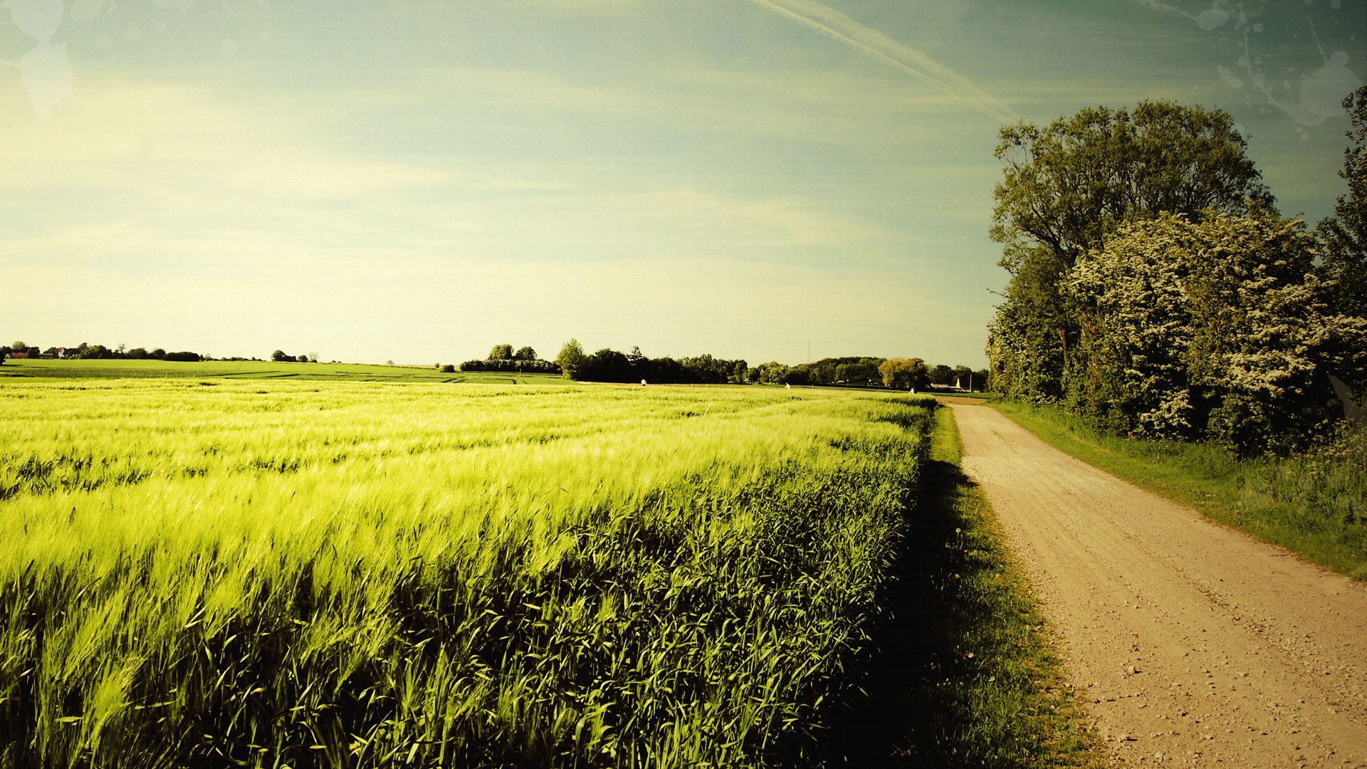 Nature Wallpaper Hd - HD Wallpaper 